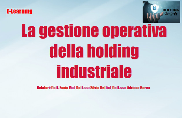 Differita - La gestione operativa della holding industriale