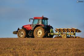 Riforma PAC 2025: più fondi, meno burocrazia e regole ambientali più flessibili per gli agricoltori europei