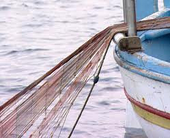 Attuazione e compatibilità comunitaria del Fondo Innovazione Pesca: il decreto del MASAF